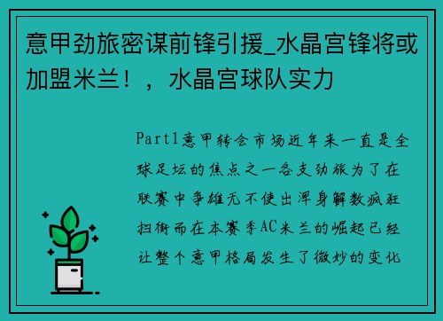 意甲劲旅密谋前锋引援_水晶宫锋将或加盟米兰！，水晶宫球队实力