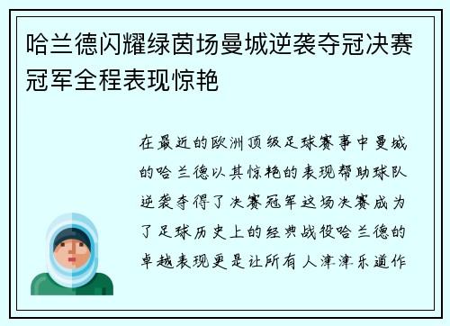 哈兰德闪耀绿茵场曼城逆袭夺冠决赛冠军全程表现惊艳