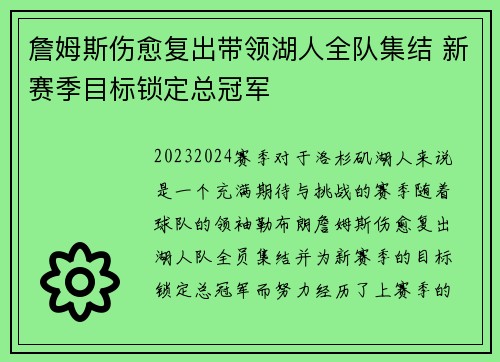 詹姆斯伤愈复出带领湖人全队集结 新赛季目标锁定总冠军